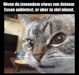 IMG_1692.jpeg