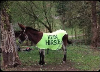 Bildschirmfoto 2024-12-27 um 10.54.22.png