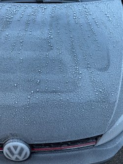 IMG_2747.jpeg