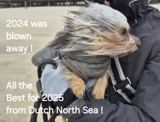 1000010268.jpg