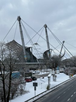 IMG_7242.jpeg