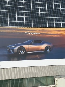 IMG_7262.jpeg
