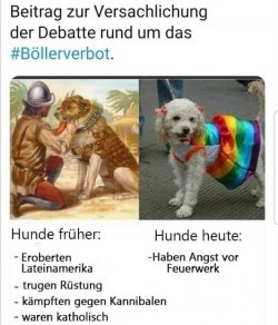 1735949294476.jpeg