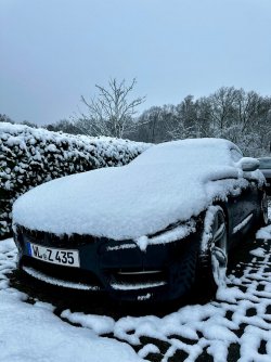 IMG_1553.jpeg