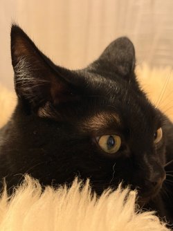 IMG_7336.jpeg