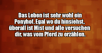 Bildschirmfoto 2025-01-10 um 15.47.15.png