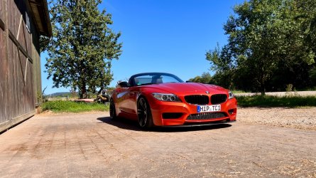 IMG_6867.jpeg IMG_6867.jpeg