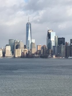 IMG_2222.jpeg