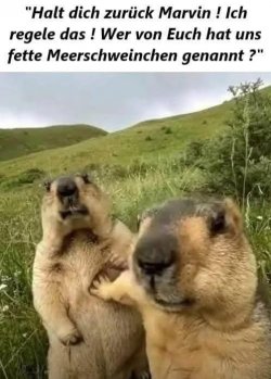 FB_IMG_1736878857940.jpg