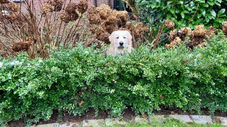 IMG_2425.jpeg