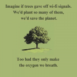 1737213721293.png