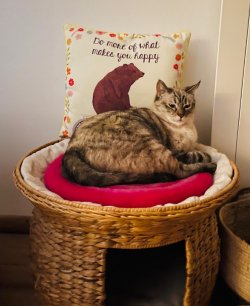 IMG_2518.jpeg