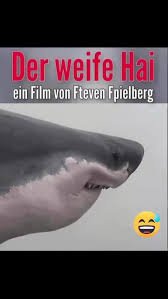 Der weife Hai.jpg