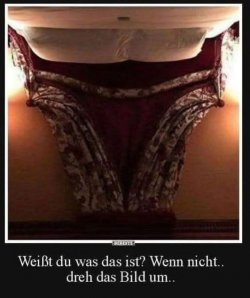 IMG_2039.jpeg