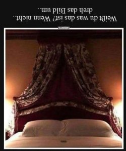 IMG_2039.jpeg