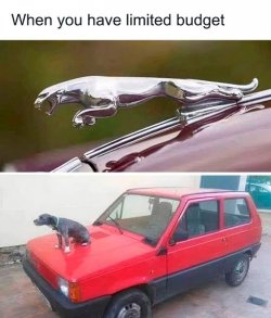 images-8.jpeg
