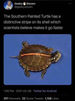 8e7be4887205fa87.png