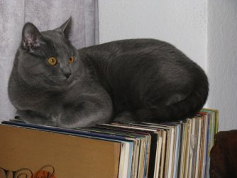 IMG_3415.jpg