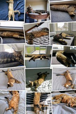 IMG-20161208-WA0004-COLLAGE~2.jpg