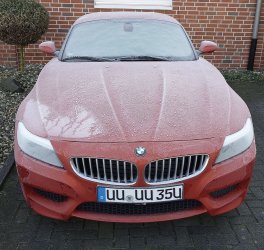 Frost-Tomate klein.jpg
