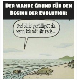 6362647-6c193c7ee8d0b9c145b132c4abb12598.jpg