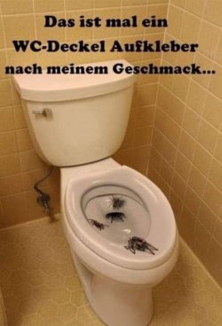 20250205_084343.jpg