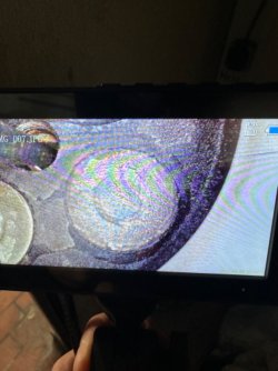 IMG_7655.jpeg