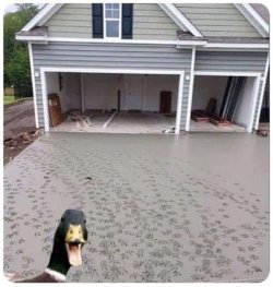 1000028716.jpg