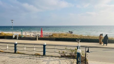 IMG_7786.jpeg