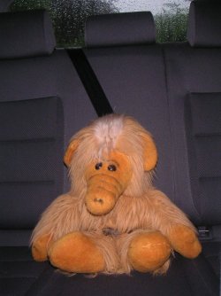 PICT0384.JPG
