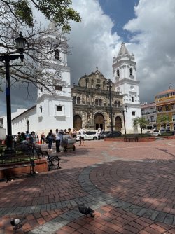 IMG_7519.jpeg