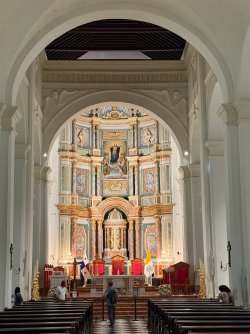 IMG_7509.jpeg
