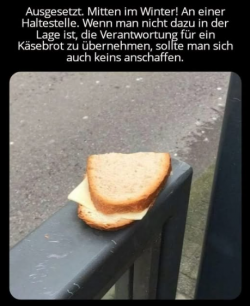 1739864904332.png