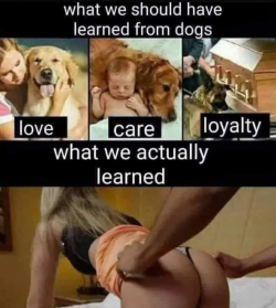 1740049096682.png