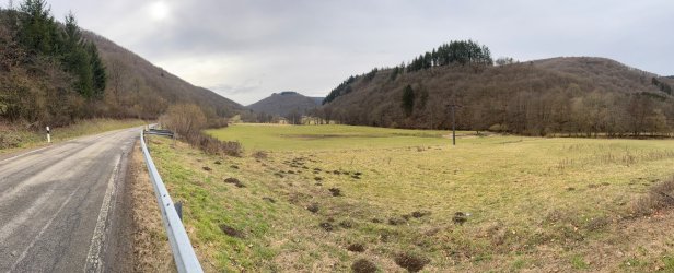 IMG_4835.jpeg