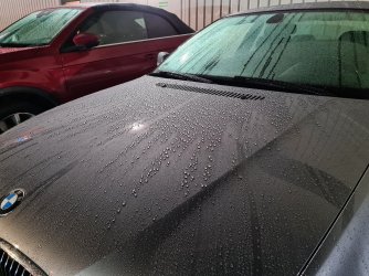 20241120_184252.jpg