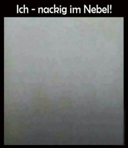 1000038422.jpg
