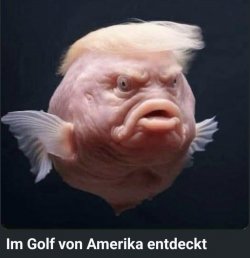 1740491955530.jpeg