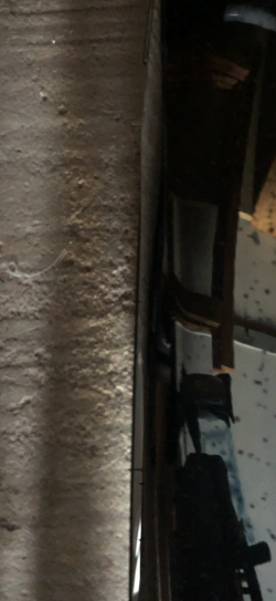 IMG_8441.PNG