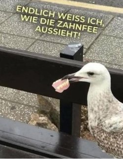 1000038648.jpg