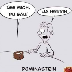FB_IMG_1740819186280.jpg