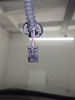 20250219_171456.JPG