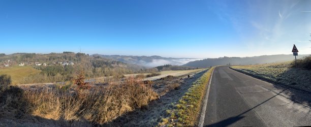 IMG_4949.jpeg