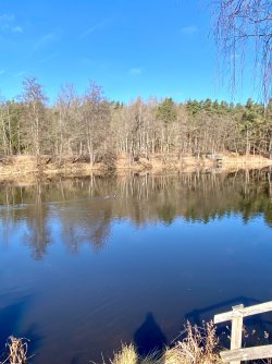 IMG_9542.jpeg