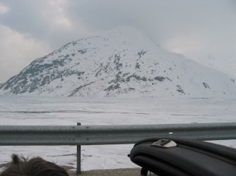 IMG_0142.jpg