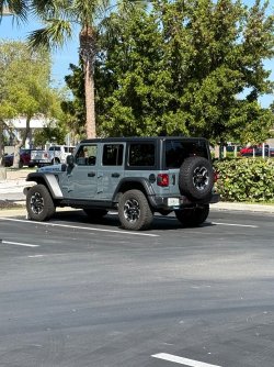 IMG_7913.jpeg
