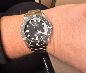 Tudor Pelagos.png