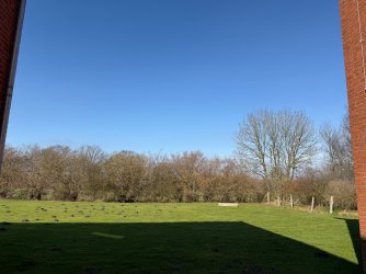 IMG_6840.jpeg
