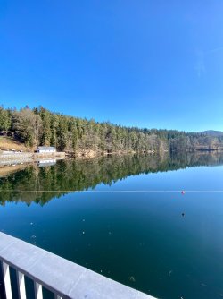 IMG_9586.jpeg