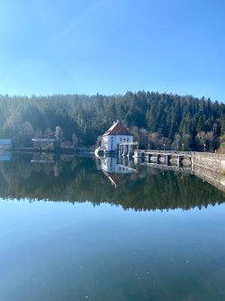 IMG_9582.jpeg